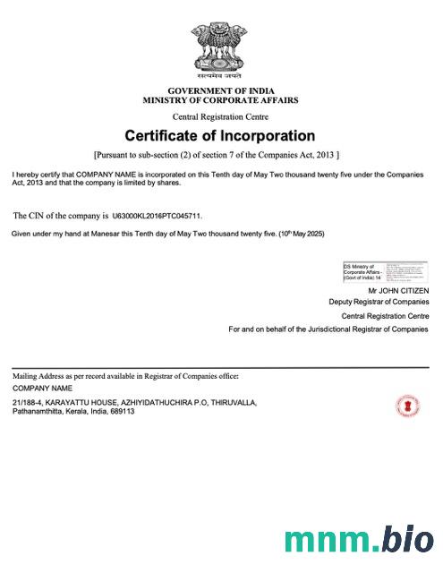 India vcertyfikat of inkorporacja Word i szablon PDF, version 3
